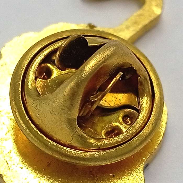 LIONS Rugby pin badge
