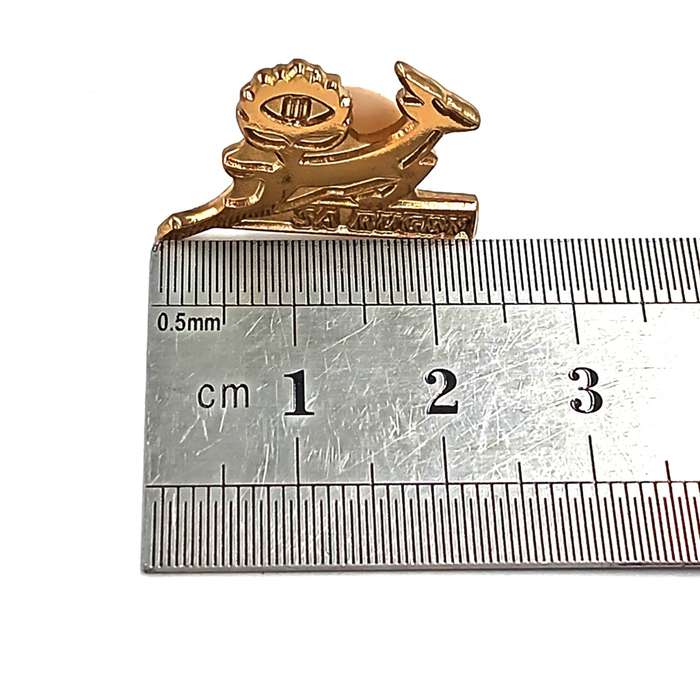 SA Rugby Springboks lapel pin badge