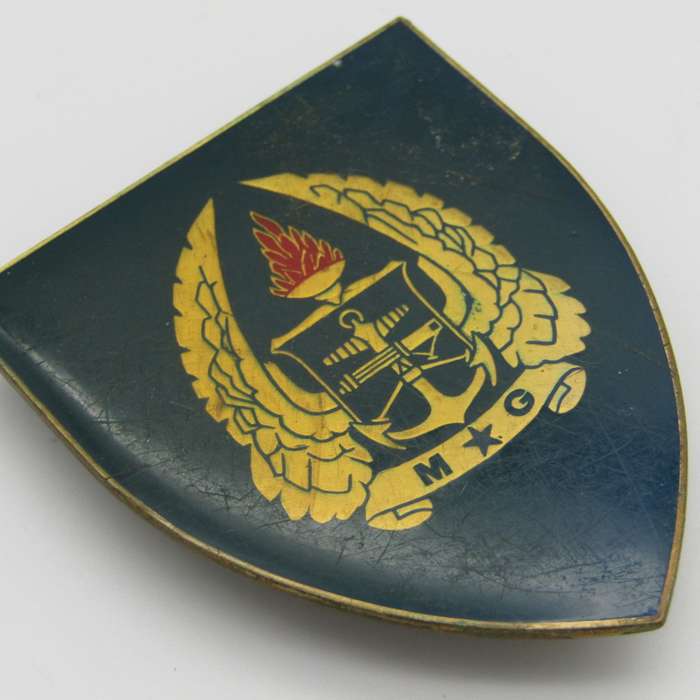 SADF Military Gymnasium shoulder flash