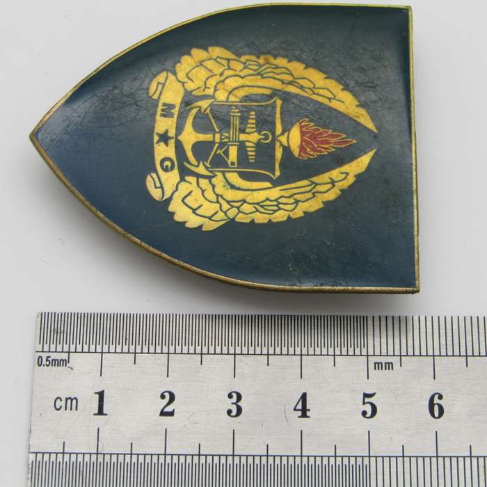 SADF Military Gymnasium shoulder flash