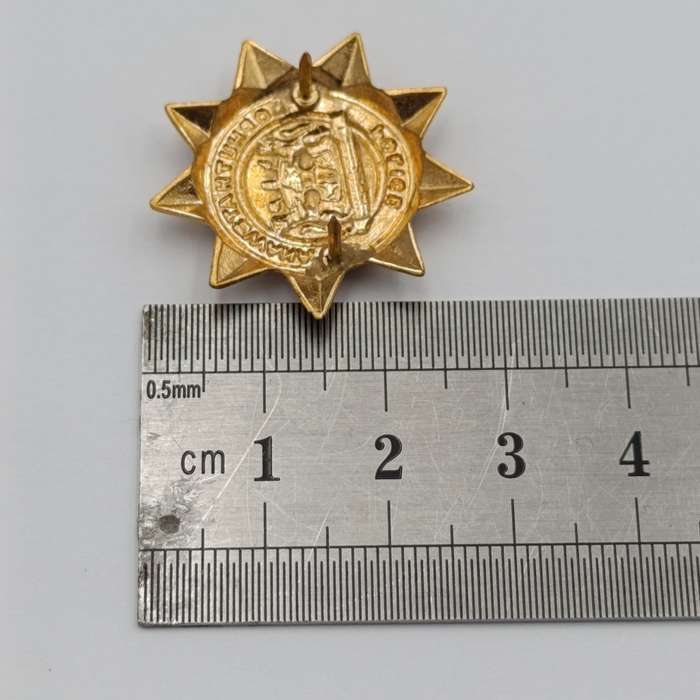 Pair of Bophuthutswana Police collar badges
