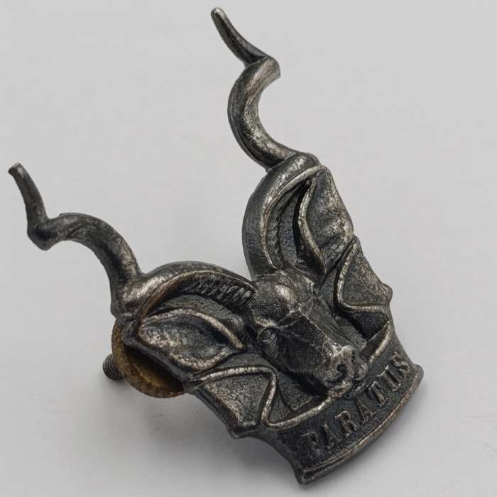 SWATF Area Force cap badge