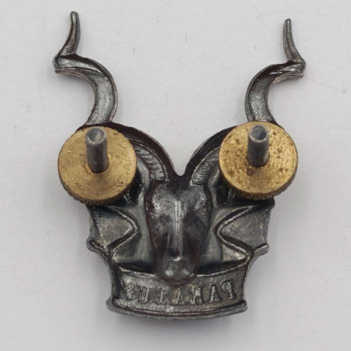SWATF Area Force cap badge