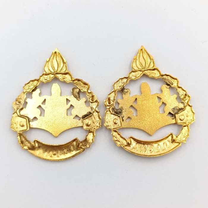 Pair of Lebowa Police warrant officer rank badges