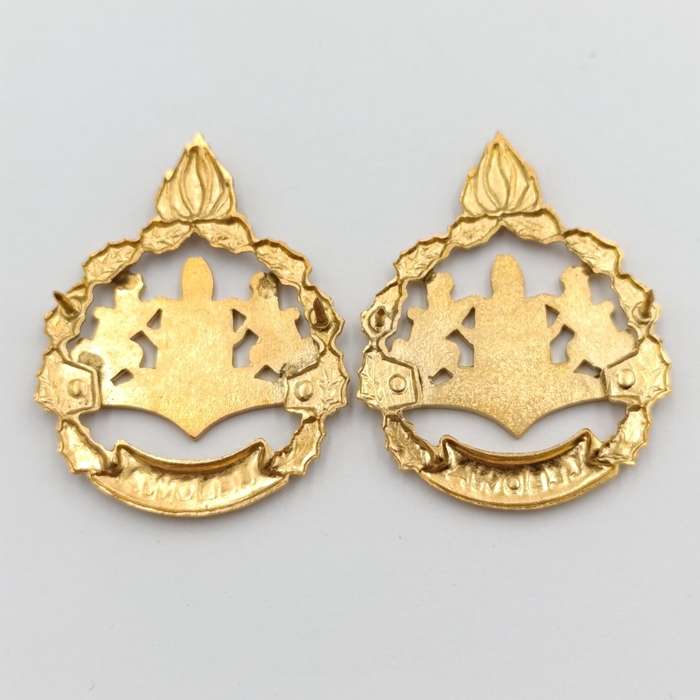 Pair of Lebowa Police warrant officer rank badges