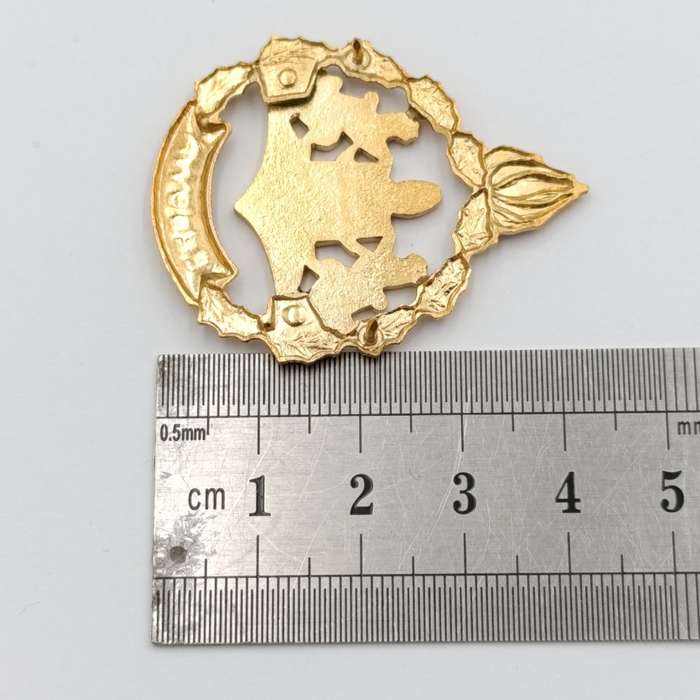 Pair of Lebowa Police warrant officer rank badges