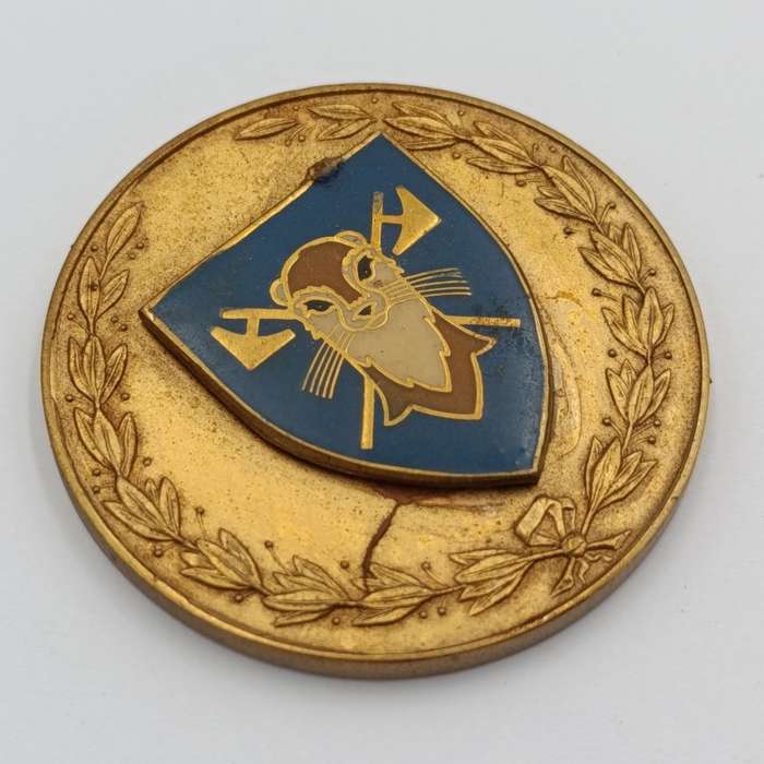 SADF 115 Battalion medallion - glue residue on back