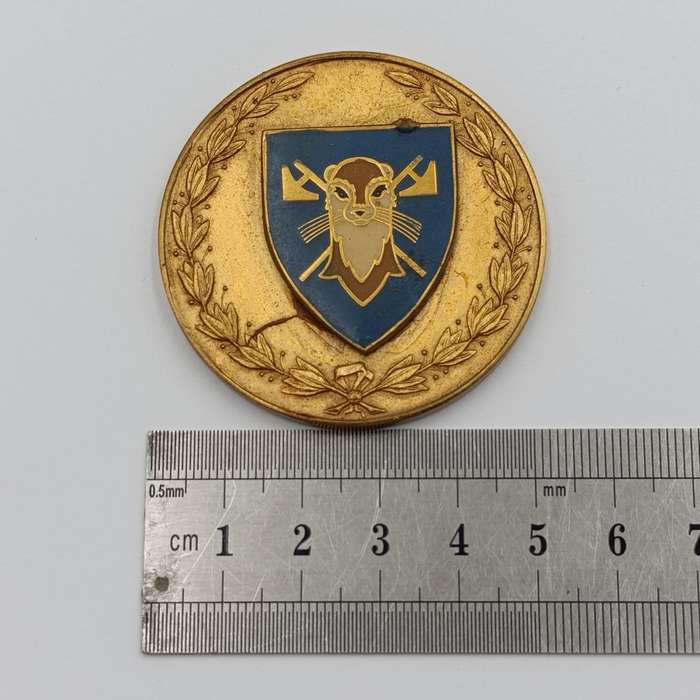 SADF 115 Battalion medallion - glue residue on back