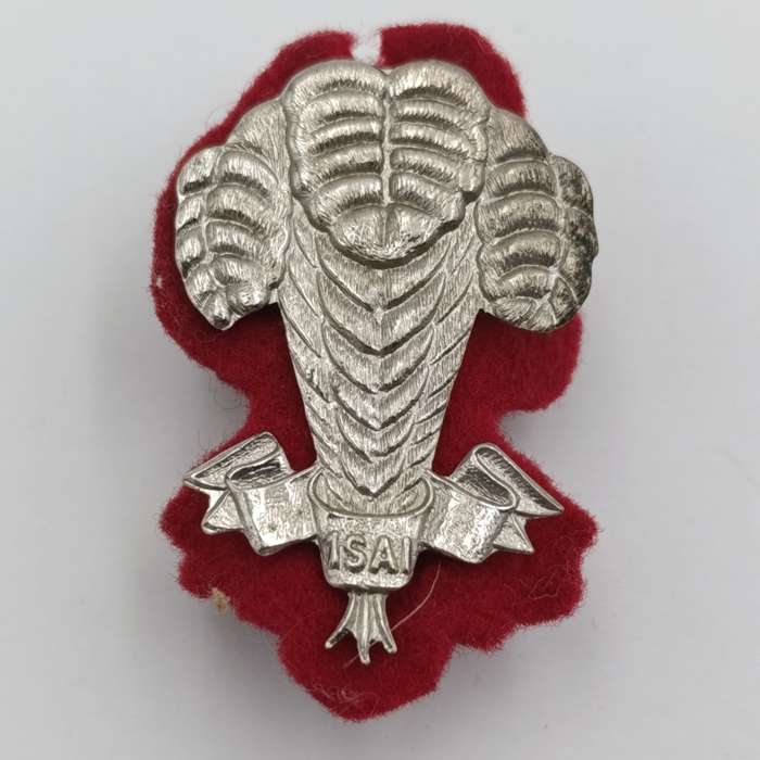 SADF 1 SA Infantry beret badge with backing