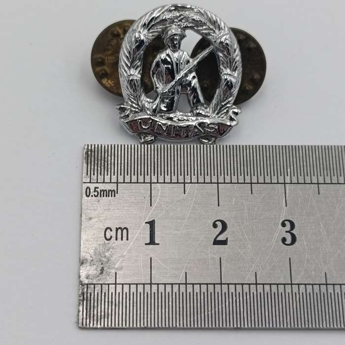 Pair of SADF commandos mess dress collar badges