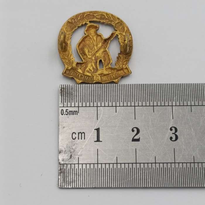 Pair of SADF skiet kommando brass mess dress collar badges