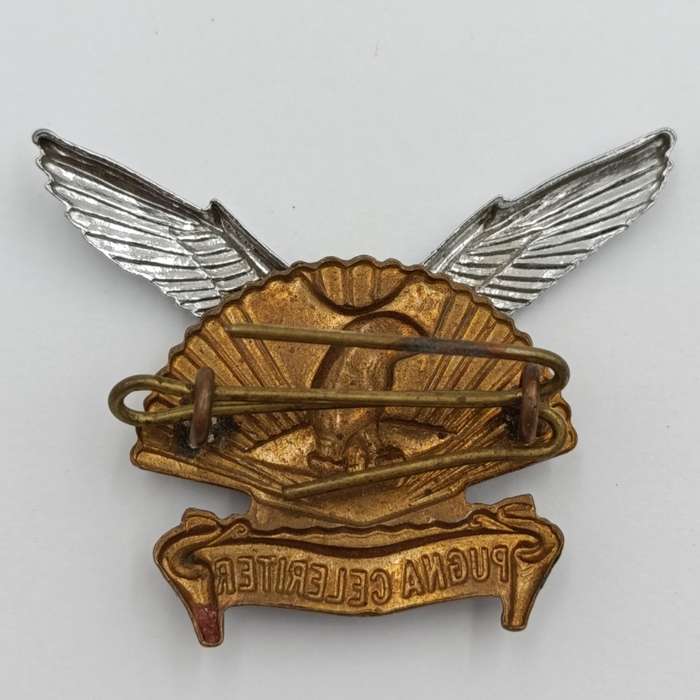 SADF Durban regiment cap badge
