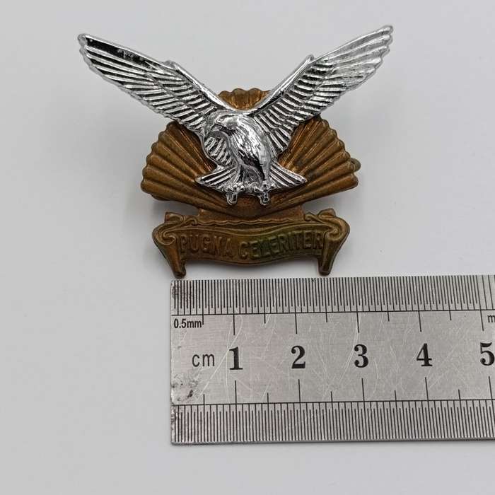 SADF Durban regiment cap badge