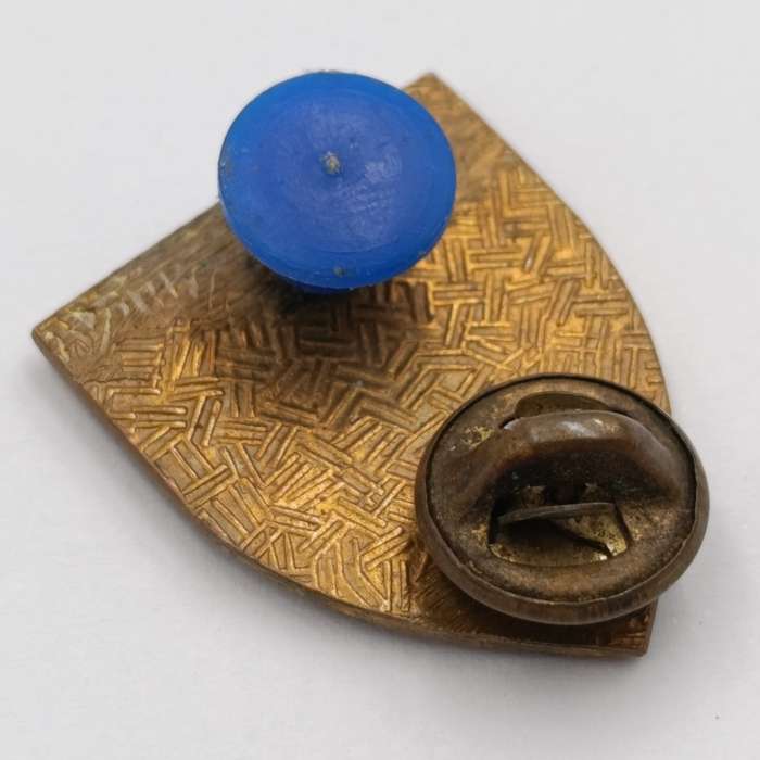 SADF 1 SA Infantry fob flash