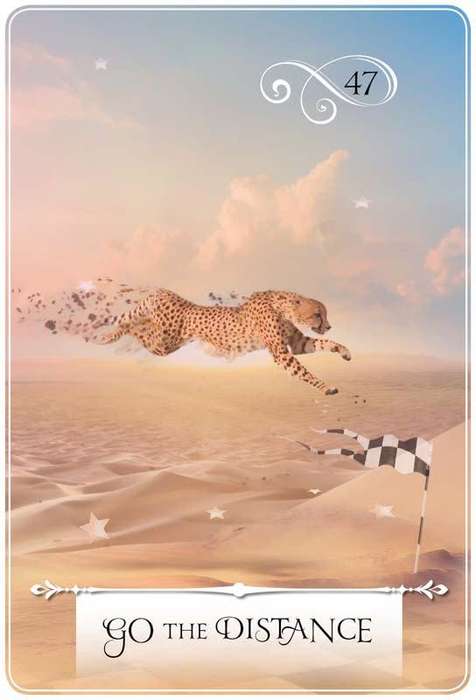 Wisdom Of The Oracle 52 Cards Deck by Colette Baron-Riad