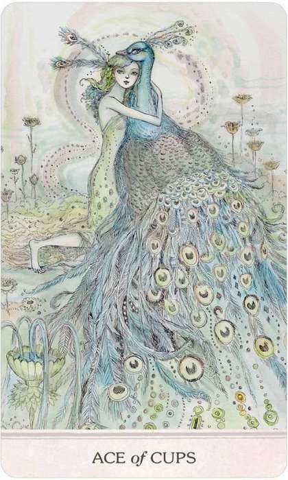 PHANTASMA TAROT 78 CARDS LARGE DECK & GUIDEBOOK