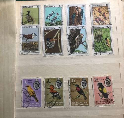 Botswana Animals and birds