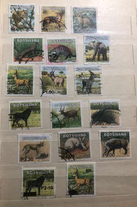 Botswana Animals and birds