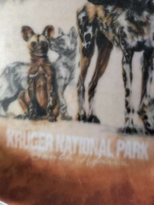 4x KRUGER NATIONAL PARK MELMINE COASTERS