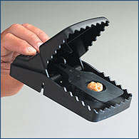 BLIKSEM RAT TRAP