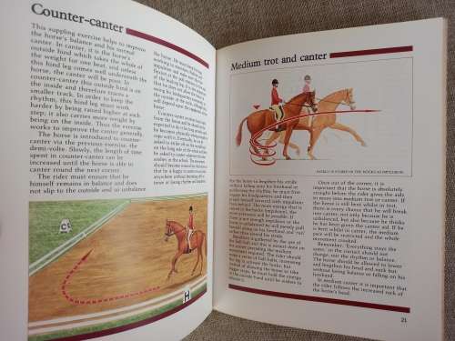 Threshold Picture Guides - Flatwork Exercises - Number 23
