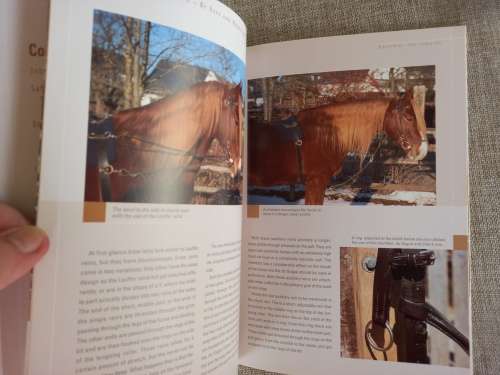 Horse Guides - Lungeing - be safe and proficient