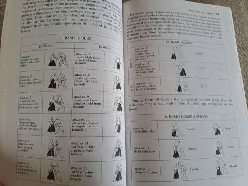 Aikido and the Dynamic Sphere - an illustrated introduction