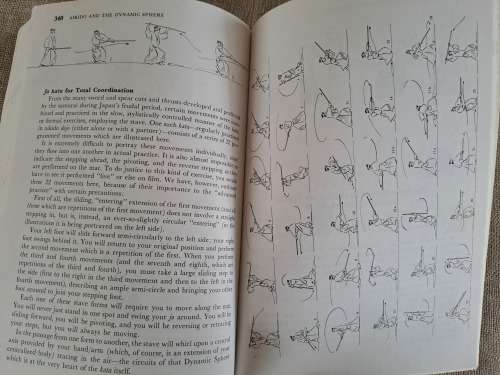 Aikido and the Dynamic Sphere - an illustrated introduction