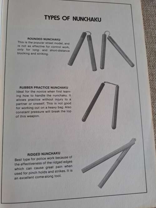 Nunchaku in Action - Joseph C. Hess