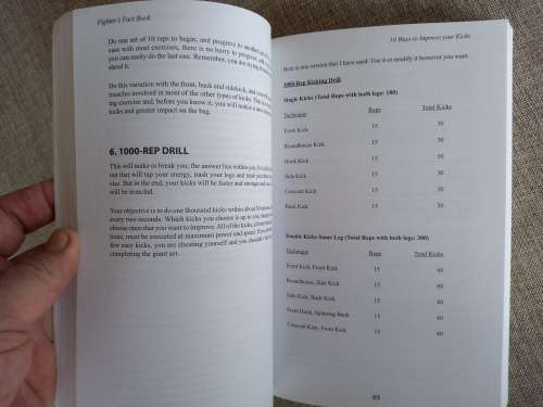 Fighters Fact Book - Loren W Christensen