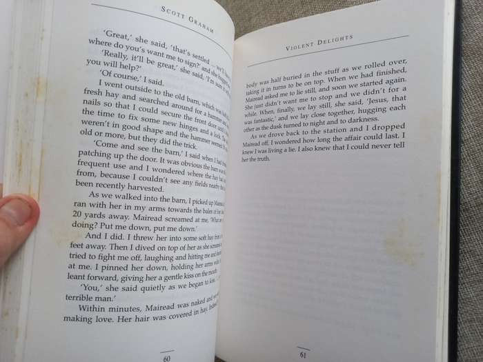 Violent Delights - the true story of an SAS heroes love for an IRA killer - Scott Graham