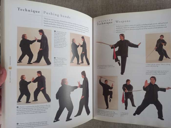 The Ultimate Book of Martial Arts- a step by step practical guide - Fay Goodman