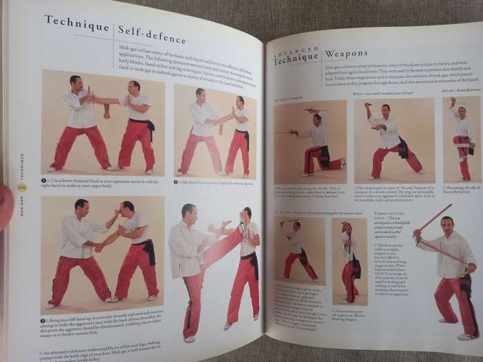 The Ultimate Book of Martial Arts- a step by step practical guide - Fay Goodman