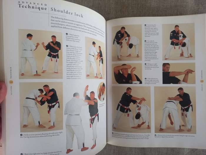 The Ultimate Book of Martial Arts- a step by step practical guide - Fay Goodman