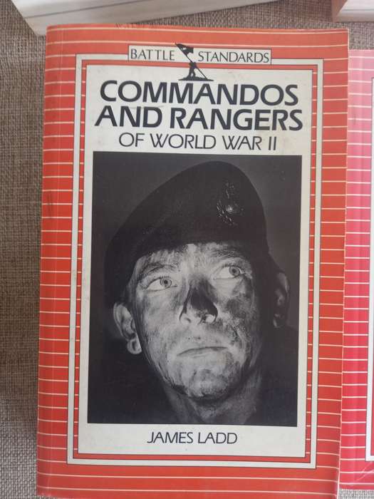 Battle Standards - Commandos and Rangers of WWII - James Ladd