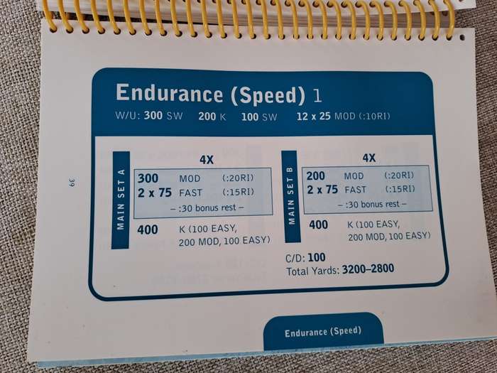 Workouts - in a binder - swim workouts for Triathletes - Gale Bernhardt and Nick Hansen