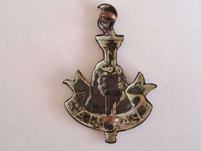 S.A. Army Youth Training Brigade Cap Badge