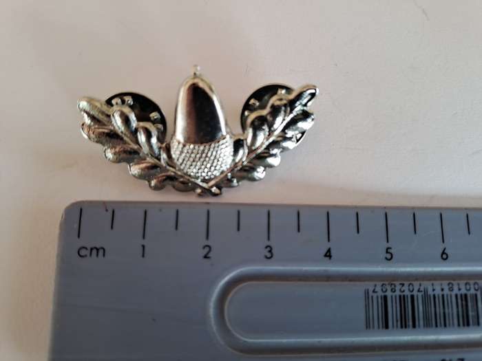 Stellenbosch University Regiment collar badge