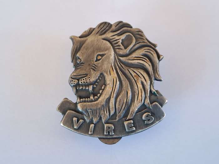 Vires State Presidents Guard Cap Badge