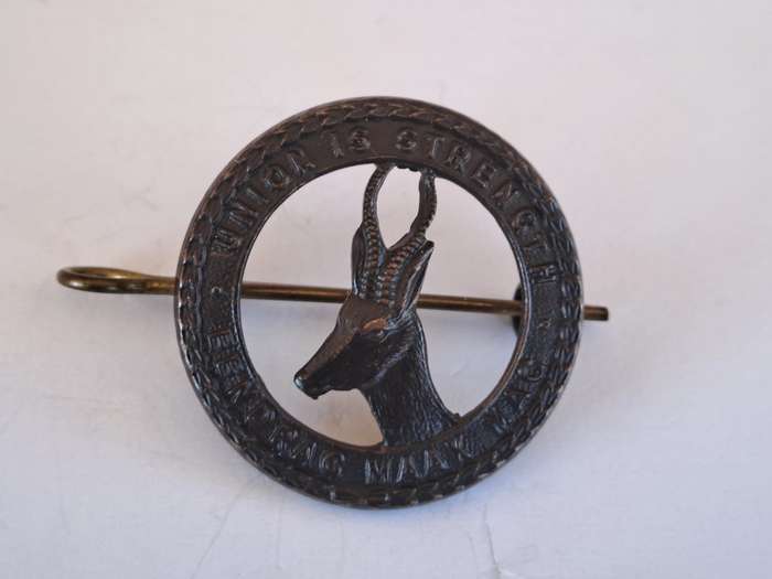 S.A. Infantry Collar Badge - Union Is Strength