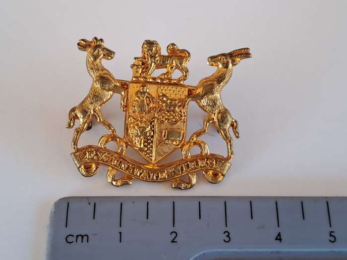 South African Defence Force SADF Warrant Officer Class 2 Gilt Rank Badge