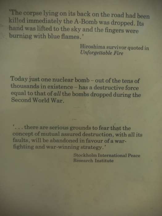 Nuclear War, the Facts on Our Survival - Peter Goodwin