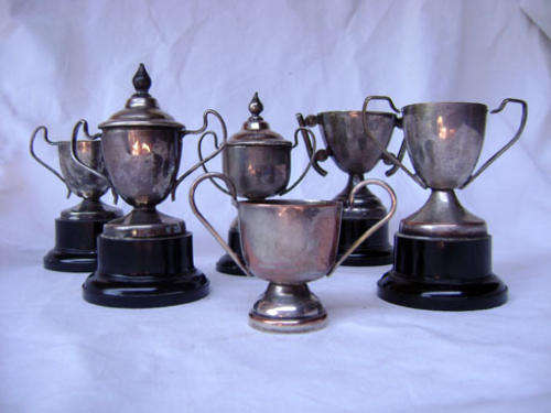 Trophies x6