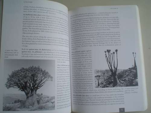 Remarkable trees of South Africa - Neels Esterhuyse, Jutta von Breitenbach & Hermien Sohnge