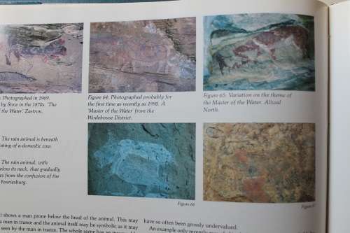 The Rain and Its Creatures: As the Bushmen Painted Them - Bert Woodhouse