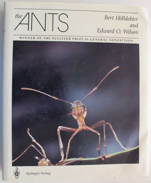 The Ants -  Holldobler & Wilson