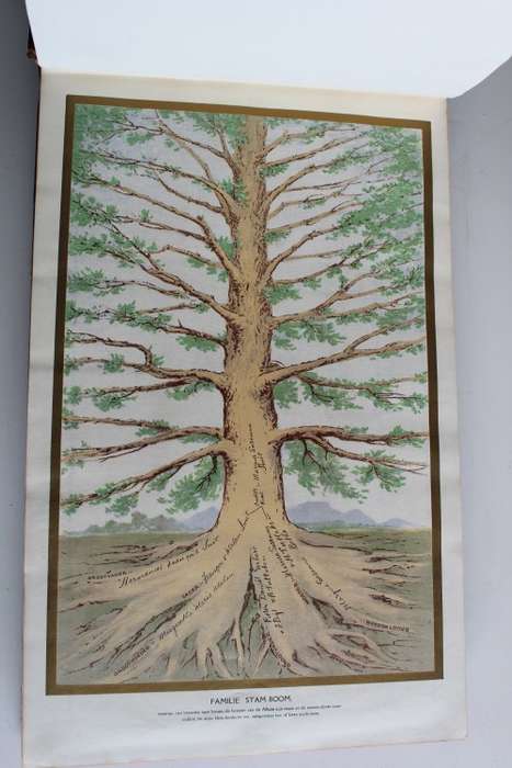 ONS KERK ALBUM 1916
