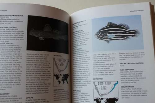 A Guide to The Common Sea Fishes of Southern Africa - Rudy van der Elst