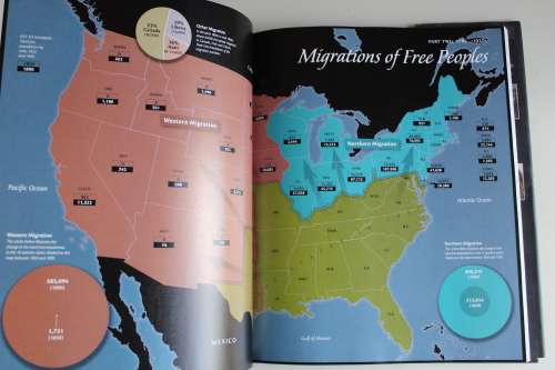IN MOTION - The African-American Migration Experience - Dodson & Diouf