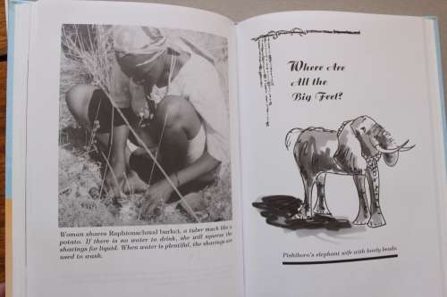 Why ostriches don`t fly and other tales from the African bush - Lewis